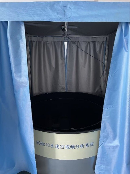 小动物水迷宫测试系统